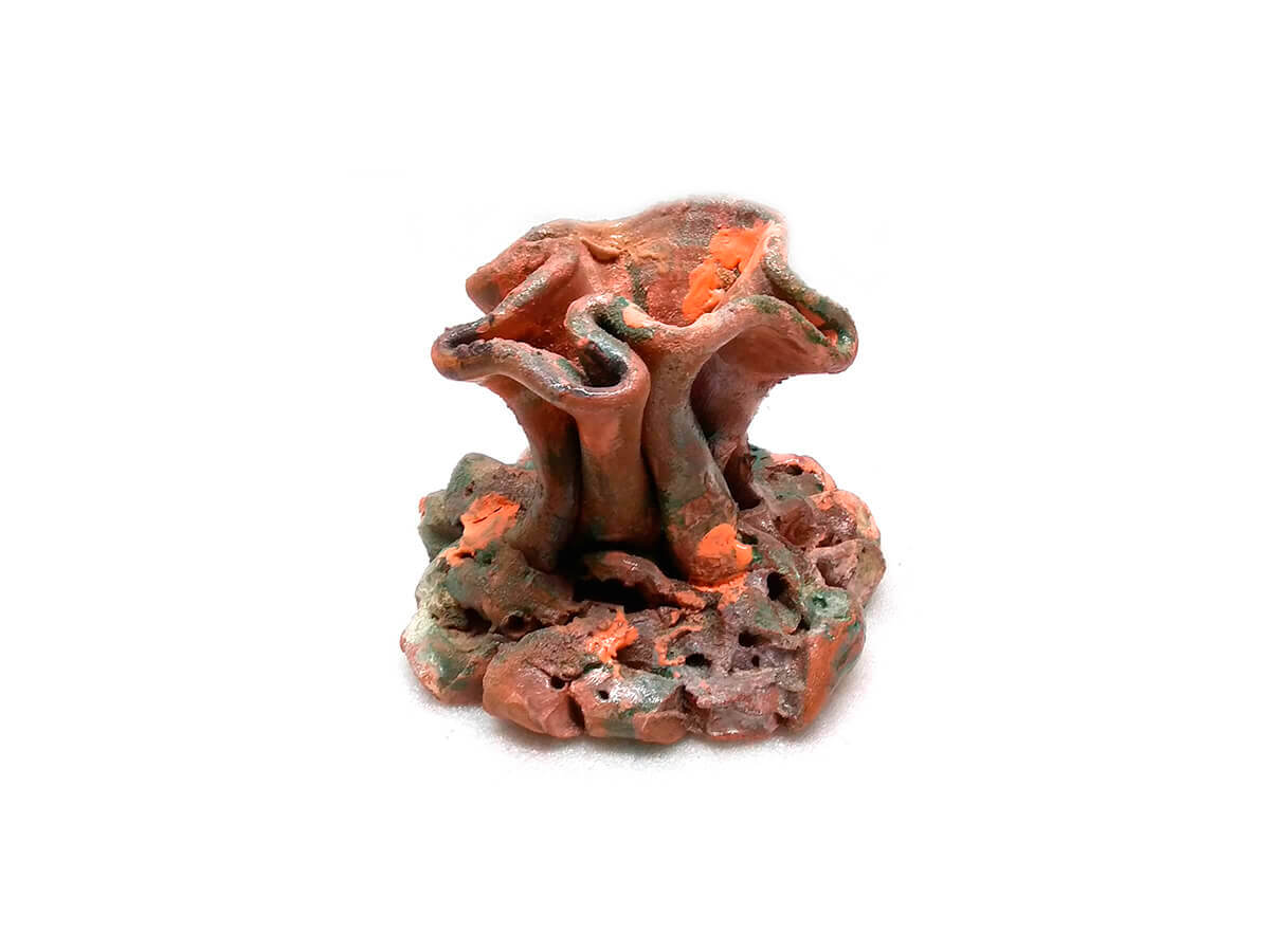 Коралл в аквариум